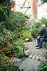 David despiring over late summer jungle