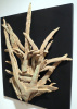 Reed Man, side view