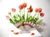 Tulip Vase #1